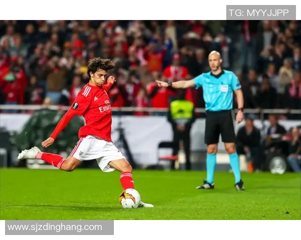 欧联杯精彩对决本菲卡与里昂战成平局神奇扑救成比赛转折点